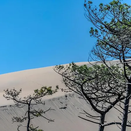 2 Chambres, Neuf, Au Coeur Du Moulleau, Appartement Arcachon