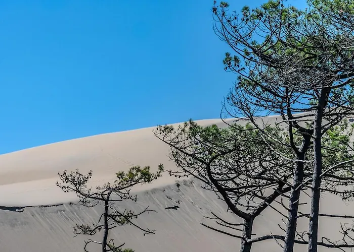 2 Chambres, Neuf, Au Coeur Du Moulleau, 公寓 阿卡雄