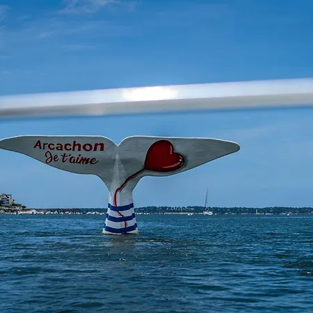 2 Chambres, Neuf, Au Coeur Du Moulleau, * Arcachon