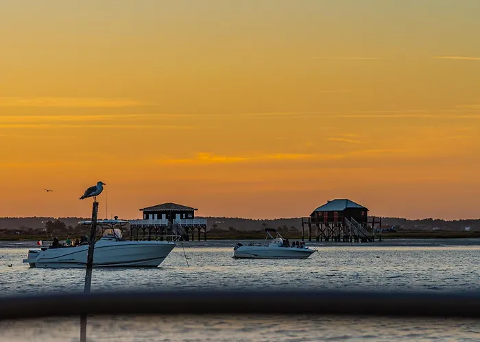 2 Chambres, Neuf, Au Coeur Du Moulleau, *
